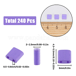 240 Stück 2-Loch-Backfarbe&nbsp;SEED-SC0001-12D