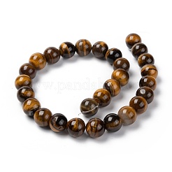Natürlichen Tigerauge runde Perle Stränge&nbsp;G-R200-14mm