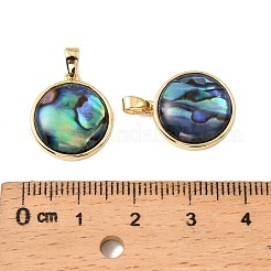 Flache runde Anhänger aus natürlicher Paua-Muschel&nbsp;KK-G538-16G
