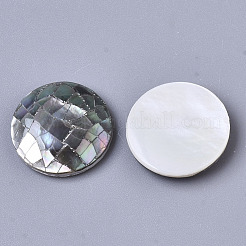 Labbro nero naturale cabochon conchiglia&nbsp;X-SSHEL-N034-46