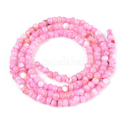 Hebras de cuentas teñidas de concha natural de agua dulce&nbsp;SHEL-T020-29B-07
