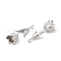 Messing Anhänger & Charms&nbsp;KK-G468-56P