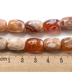 Natur Drachen Venen Achat Perlen Stränge&nbsp;G-A223-D11-01E
