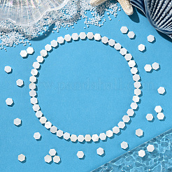 2 filo di perline di conchiglia d'acqua dolce naturale&nbsp;SSHEL-SC0001-36B