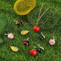 10pcs 5 styles de pendentifs en émail en alliage&nbsp;ENAM-CJ0007-21