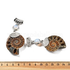 Pendentifs en escargot fossile d'opalite synthétique&nbsp;G-F062-07