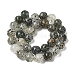 Fili di perline di gemstone naturale&nbsp;G-D359-B02-12mm