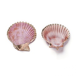 Shell Anhänger&nbsp;SHEL-P075-05