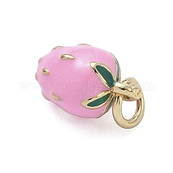 Charms smalto ottone&nbsp;KK-K368-09C