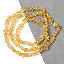 Chip natürlichen Citrin Perlen Stränge&nbsp;G-N0134-21