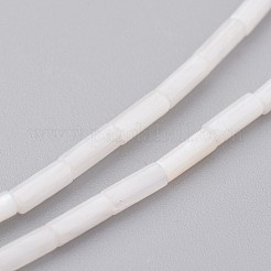 Conchiglia naturale fili di perle&nbsp;BSHE-P017-03