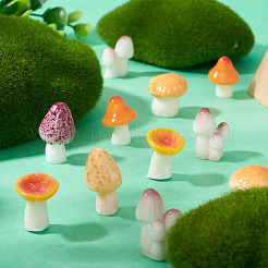 30 Stück 6 Stile Pilz-Serie Harz Display Dekorationen&nbsp;DJEW-TA0001-21