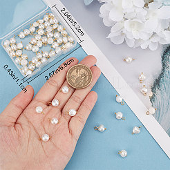 70 stücke natürliche zucht süßwasser perle zwei seiten poliert charms&nbsp;FIND-CN0001-43G