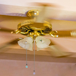 6 Stück 6 Farben leuchtende opake Harz Pilz Charms Deckenventilator Zugkette Verlängerungen&nbsp;HJEW-LP00025