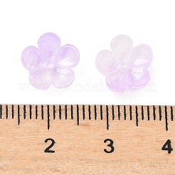 Embouts de perles de verre teints et chauffés&nbsp;GLAA-C042-01B
