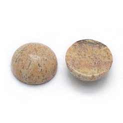 Natur Bildjaspisses cabochons&nbsp;G-P393-R51-8MM