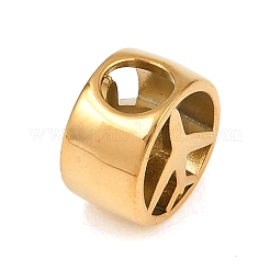 304 Edelstahl-Europäische Perlen&nbsp;STAS-F343-01B-G