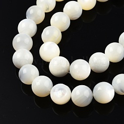 Hilos de cuentas de concha blanca natural&nbsp;SSHEL-N003-144H-01