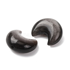 Natürliche silberne Obsidianperlen&nbsp;G-A310-02