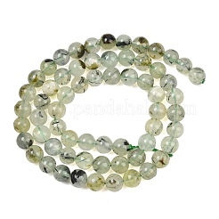 Abalorios naturales prehnita hebras&nbsp;LS-GG-CBA7D2C-A01-6mm
