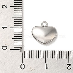 Anhänger aus 304 Edelstahl&nbsp;STAS-L022-278P