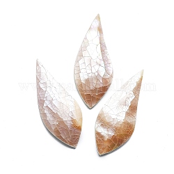 Cabochons de coquille naturelle, larme, couleur de coquillage, 50x20~21x4~5mm