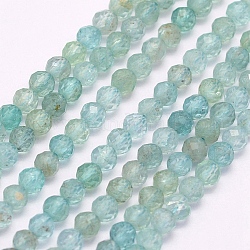 Natürliche Apatit Perlen Stränge, facettiert, Runde, 2 mm, Bohrung: 0.5 mm, ca. 180~189 Stk. / Strang, 15.5 Zoll (39.5 cm)