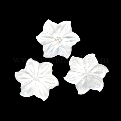 Cabochon guscio naturale, fiore, bianco, 40.8x3mm