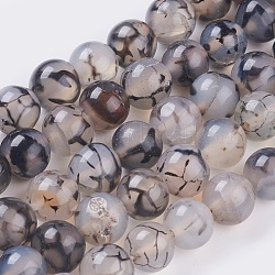 Rondes veines de dragon naturel perles agate brins, teinte, 10mm, Trou: 1.5mm, Environ 38 pcs/chapelet, 15.1 pouce