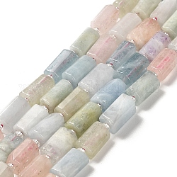Fili di perline morganite naturale, con perline semi, sfaccettato, colonna, 8.5~11x5.5~6.5mm, Foro: 1 mm, circa 14~15pcs/filo, 7.48'' (19 cm)