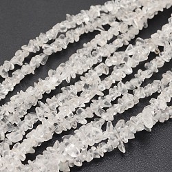 Copeaux de quartz naturel perles de cristal brins, perles de cristal de roche, 3~8x3~12x3~5mm, Trou: 1mm, environ 32 pouce