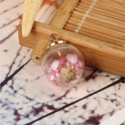 Colgantes de globo de cristal transparente, con pedrería y flor seca en el interior y fianzas de plástico ccb para colgantes, bola, blanco, rosa luz, 16mm, agujero: 2 mm