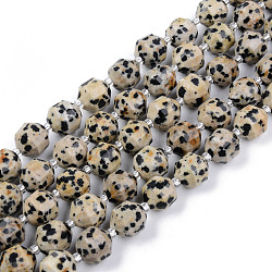 Natural Dalmatian Jasper Beads Strands, Round, Faceted, 7~8x8mm, Hole: 1.2mm, about 37pcs/strand, 14.56~14.96 inch(37~38cm)