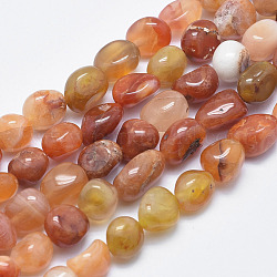 Natural Carnelian Beads Strands, Nuggets, 6.5~13x7~8mm, Hole: 1mm, 15.5 inch(39.5cm)
