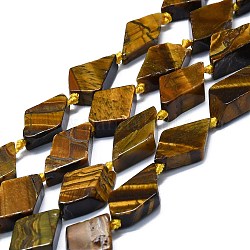 Chapelets de perles d'œil de tigre naturel, losange, 15~17x9~11x3~6mm, Trou: 1.5mm, Environ 24 pcs/chapelet, 16.54'' (42 cm)