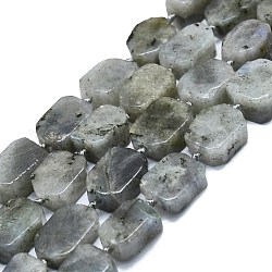 Perline labradorite naturale fili, rettangolo, 15~17x10~13x5~7mm, Foro: 1 mm, circa 22pcs/filo, 15.94 pollice (40.5 cm)