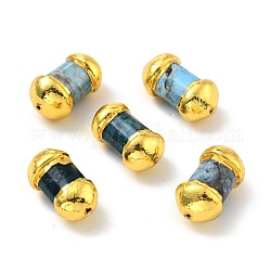 Perles naturelles d'apatite, avec les accessoires en laiton de tonalité d'or, sans plomb et sans cadmium, Toupie, 19.5~21x11~12x9~12mm, Trou: 1mm