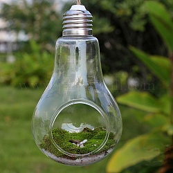 Jardinière en verre suspendue en forme d'ampoule, Vase de conteneur de terrarium pour plantes hydroponiques d'intérieur, décoration de jardin de bureau à domicile, clair, 80x140mm