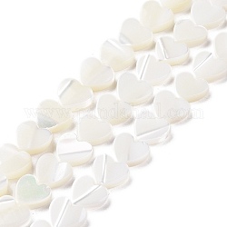 Fili di perline di conchiglia trochus naturale, cuore, bianco, 8.5x8.5x2.5mm, Foro: 0.7 mm, circa 52~53pcs/filo, 15.71'' (39.9 cm)
