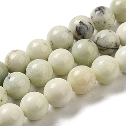 Chapelets de perles de jaspe dendritique naturelle, ronde, 8~8.5mm, Trou: 1.5mm, Environ 46 pcs/chapelet, 15.31'' (38.9 cm)