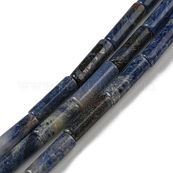 Perline sodalite naturale fili, colonna, 10~14x4.3~4.6mm, Foro: 0.9 mm, circa 28pcs/filo, 14.96~15.20 pollice (38~38.6 cm)