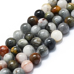 Chapelets de perles en pierre naturelle d'œil d'aigle, ronde, 8~9mm, Trou: 0.8mm, Environ 48~52 pcs/chapelet, 15.35''~16.54'' (39~42 cm)