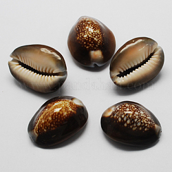 Бусины из натуральных раковин каури, без отверстия , овальные, кокосового коричневый, 18~25x25~32x12~15 мм