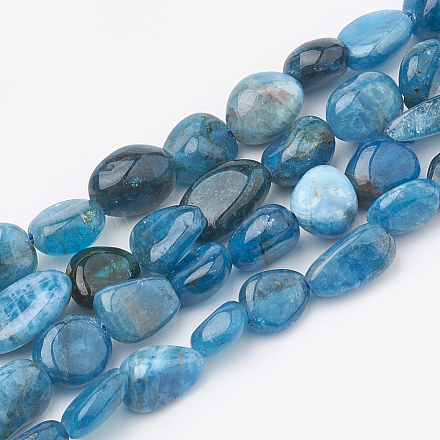 Natural Apatite Beads Strands X-G-S331-6x8-002-1