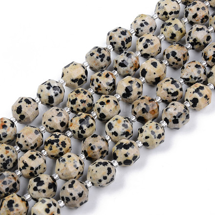Chapelets de perles en jaspe dalmatien naturelle G-R482-16-8mm-1
