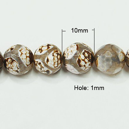 Natural Agate Beads Strands G-G043-10mm-6-1