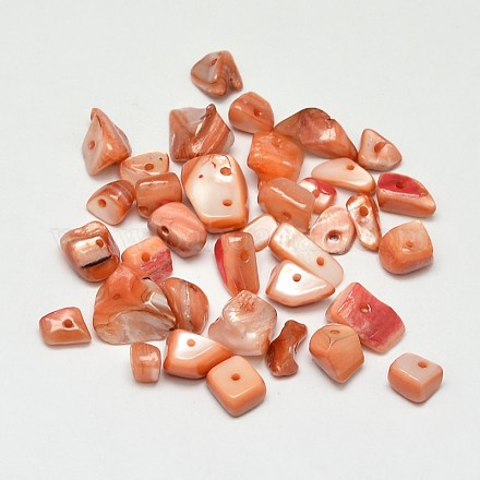 Dyed Natural Freshwater Shell Chips Beads SHEL-O001-12B-1