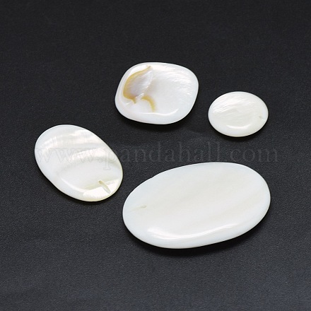 Natural White Shell Beads SSHEL-I019-01-1