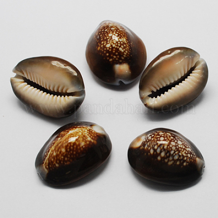 Natural Cowrie Shell Beads BSHE-Q294-21-1