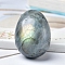 Natural Labradorite Carved Healing Egg Figurines, Reiki Energy Stone Display Decorations, 50x35mm
